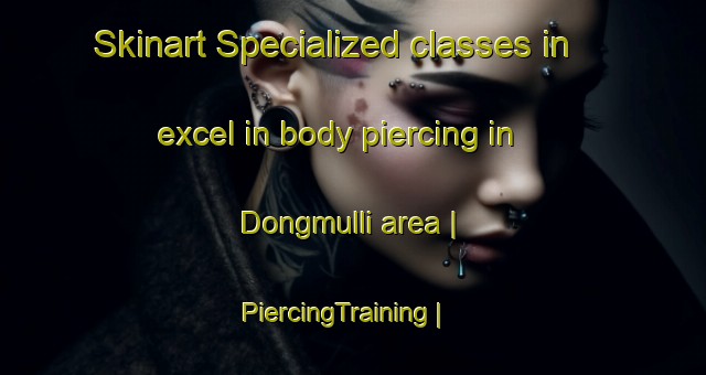 Skinart Specialized classes in excel in body piercing in Dongmulli area | PiercingTraining | PiercingClasses | SkinartTraining-Republic of Korea